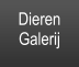 Dieren Galerij